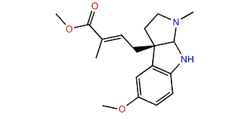 Pseudophrynamine 316